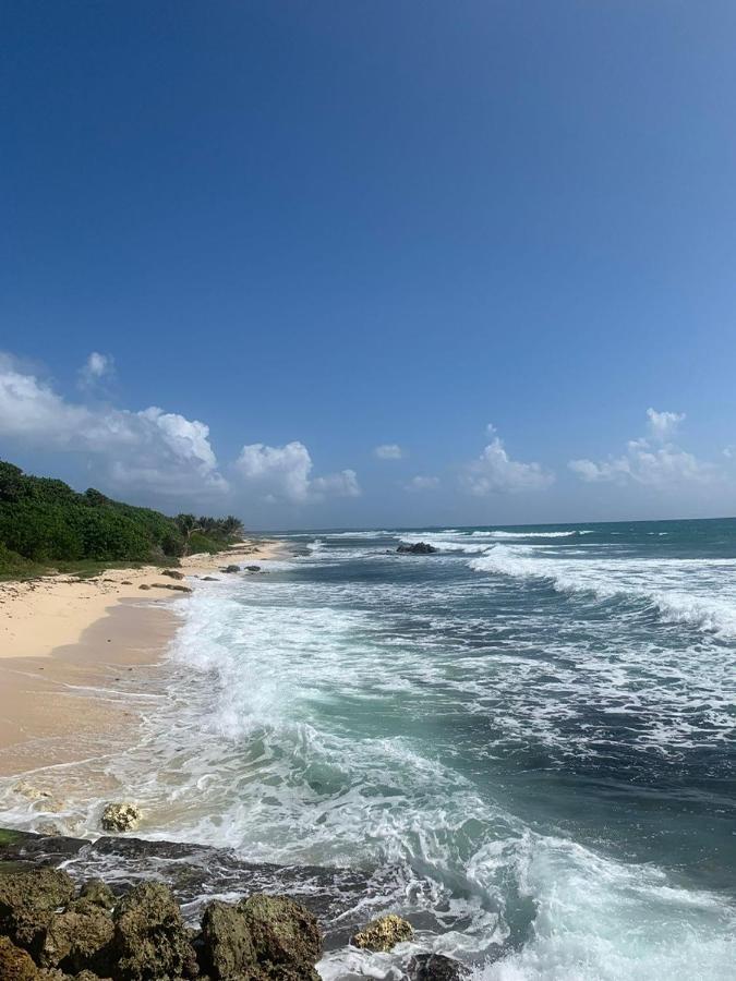 Villa Nomilou Beach Avec Acces Direct Plage Saint-Francois  Exterior foto